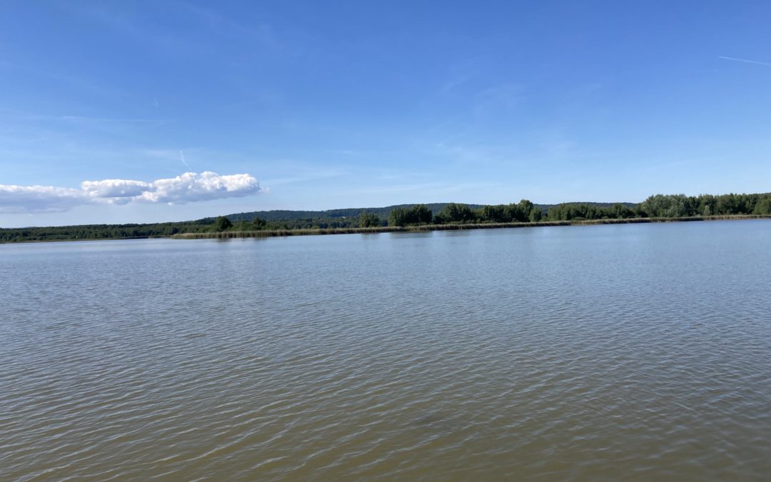 NSG Heerter See Naturschutzgebiet Salzgitter Harz Rundwanderweg