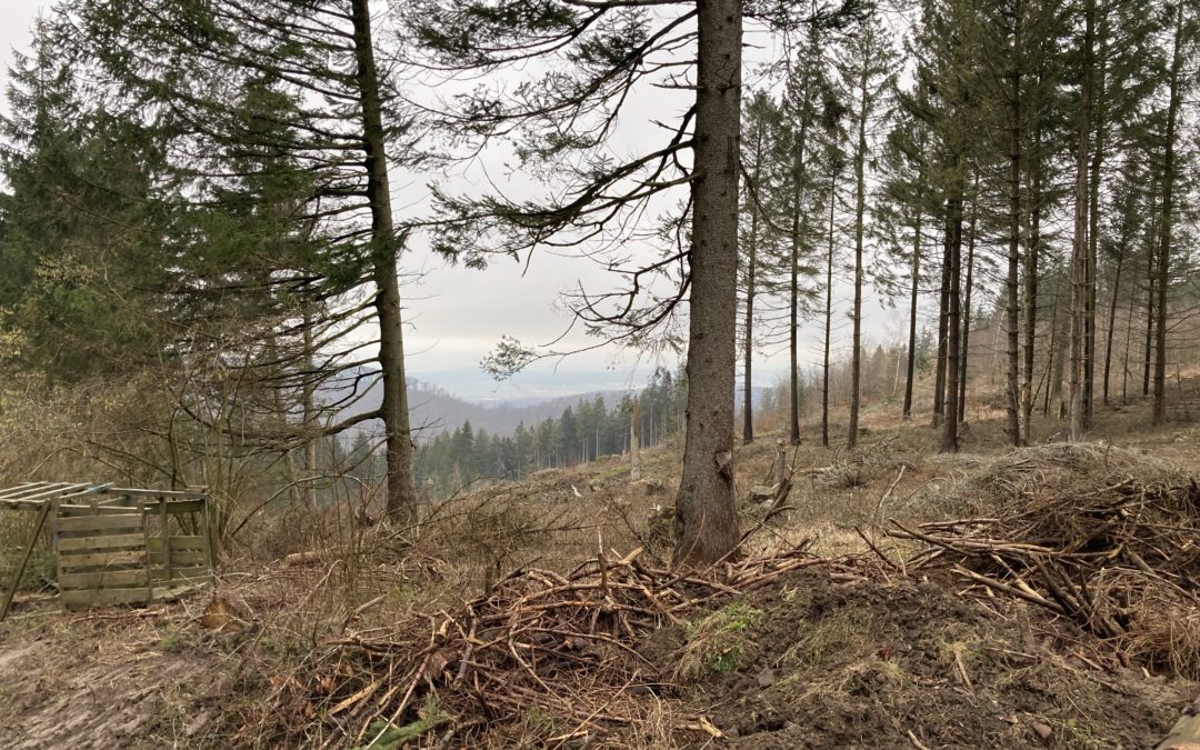 Ein Tag Harz und zurück