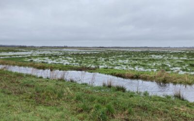 Viel Wind, Regen und Sprüche