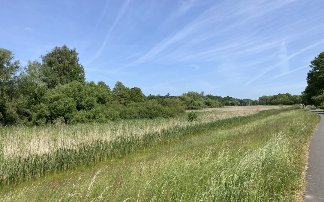 Seele baumeln lassen – oder Alternativer Golfplatz